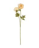 R206019 VARA PEONY X2 78CM