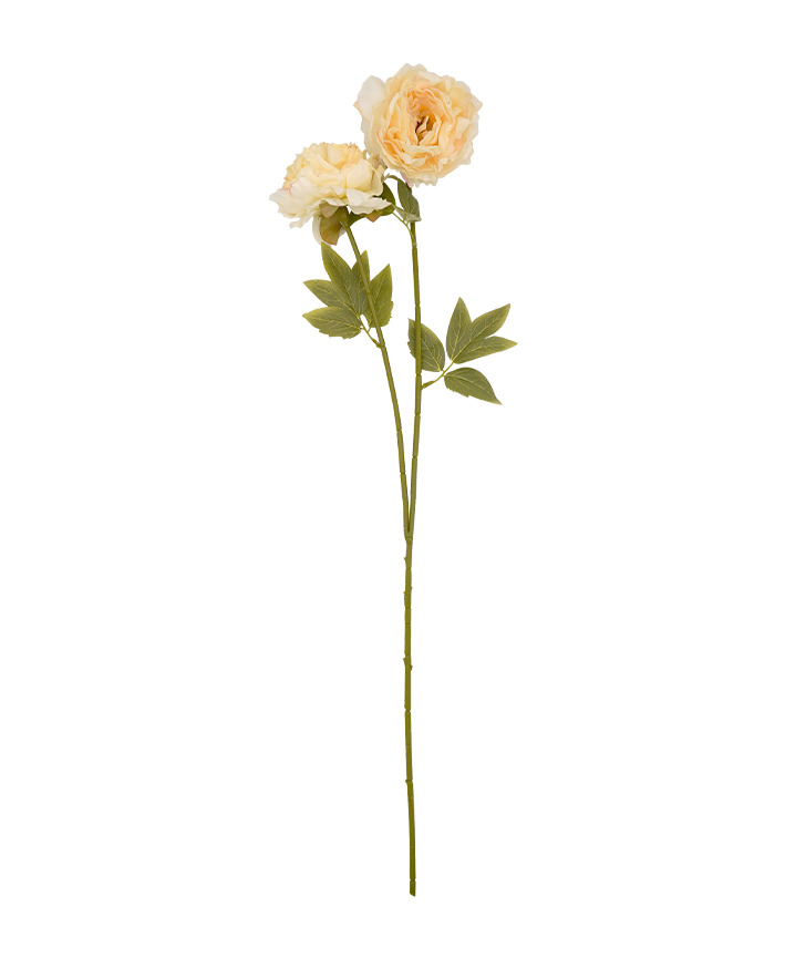 R206019 VARA PEONY X2 78CM