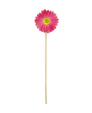 R206021 VARA GERBERA 37CM