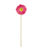R206021 VARA GERBERA 37CM