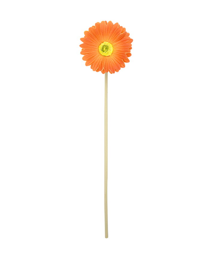 R206021 VARA GERBERA 37CM