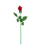 R206022-2 VARA BOTON ROSA 45CM ROJO