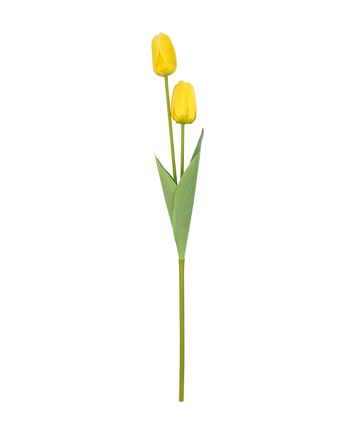 R206023 VARA TULIPAN X2 50CM