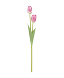 R206023 VARA TULIPAN X2 50CM