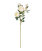 R206024 VARA ROSA X3 64 CM
