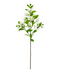R206025 VARA MIRTO 71CM