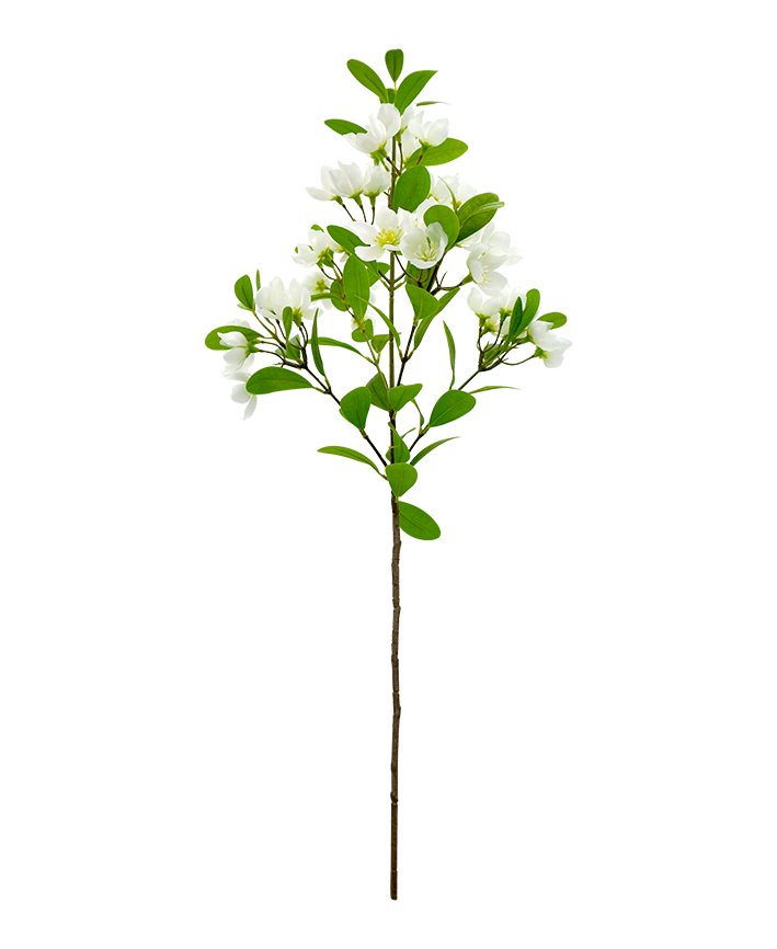 R206025 VARA MIRTO 71CM