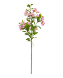 R206025 VARA MIRTO 71CM