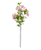 R206025 VARA MIRTO 71CM