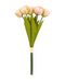 R206106 BOUQUET TULIPAN X6 41CM