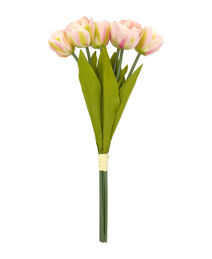R206106 BOUQUET TULIPAN X6 41CM