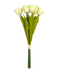 R206106 BOUQUET TULIPAN X6 41CM