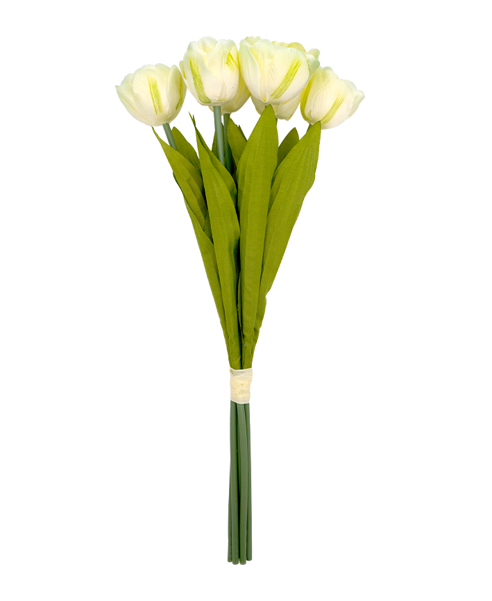 R206106 BOUQUET TULIPAN X6 41CM