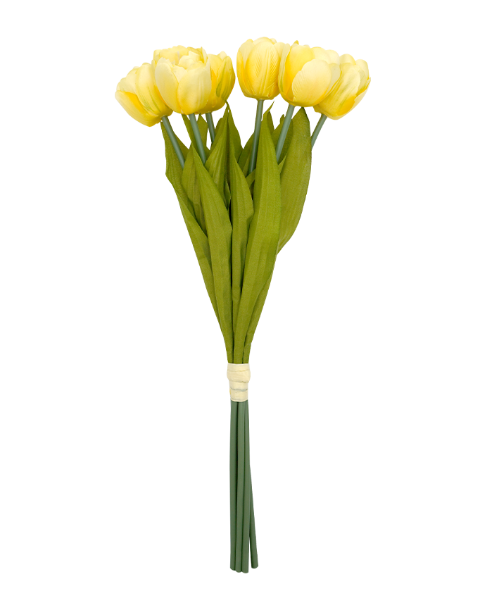 R206106 BOUQUET TULIPAN X6 41CM