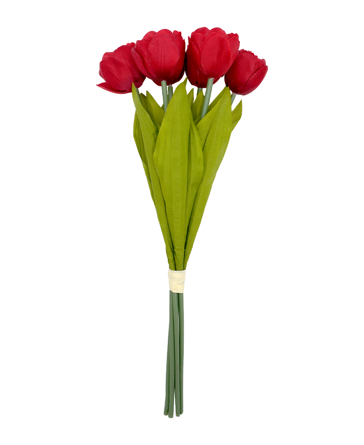 R206106 BOUQUET TULIPAN X6 41CM