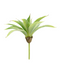 R206201 AGAVE MINI 25CM