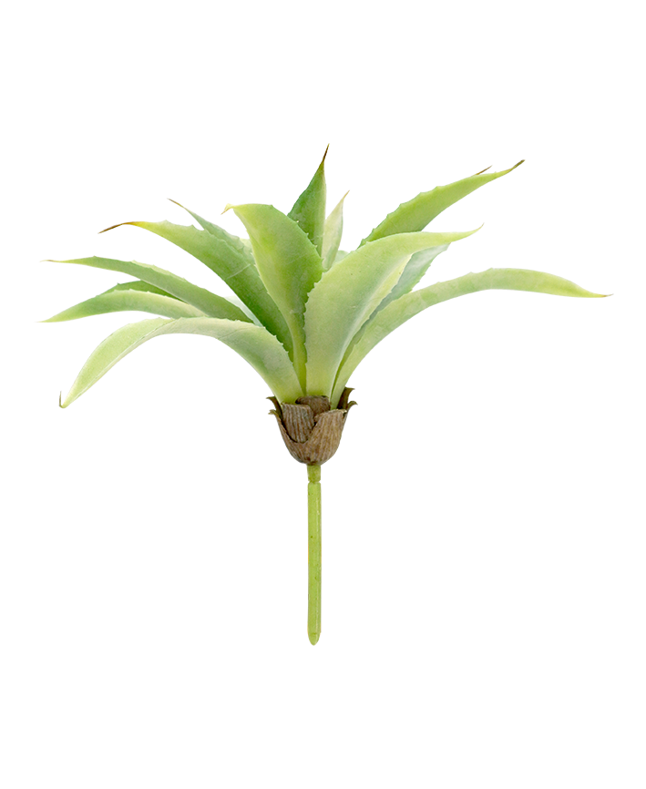 R206201 AGAVE MINI 25CM