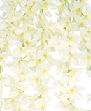 R207001-1 VARA LLORON X5 90CM BLANCO