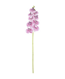 R207004 VARA ORQUIDEA RT X9 106CM