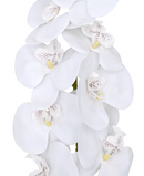 R207004 VARA ORQUIDEA RT X9 106CM