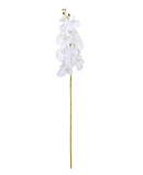 R207004 VARA ORQUIDEA RT X9 106CM