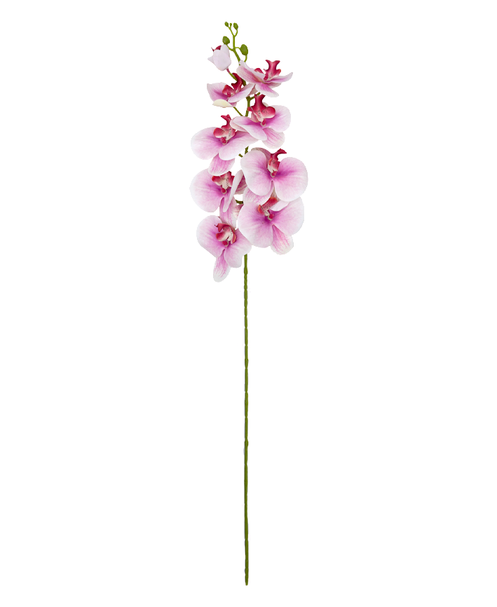 R207004 VARA ORQUIDEA RT X9 106CM