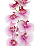 R207004 VARA ORQUIDEA RT X9 106CM