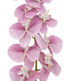 R207004 VARA ORQUIDEA RT X9 106CM