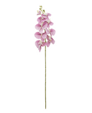 R207004 VARA ORQUIDEA RT X9 106CM