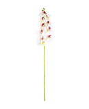 R207004 VARA ORQUIDEA RT X9 106CM