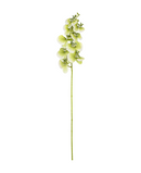 R207004 VARA ORQUIDEA RT X9 106CM