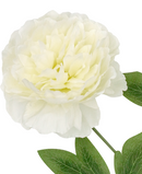 R207007 VARA PEONIA ABIERTA X3 82CM