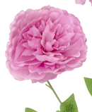 R207007 VARA PEONIA ABIERTA X3 82CM