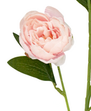 R207009 VARA PEONIA X5 80CM