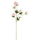 R207009 VARA PEONIA X5 80CM