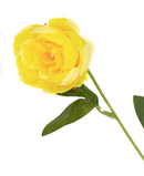 R207009 VARA PEONIA X5 80CM
