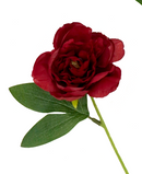 R207009 VARA PEONIA X5 80CM