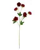 R207009 VARA PEONIA X5 80CM