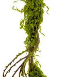 R216033 VARA FOLLAJE SECO 150CM