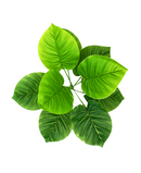 R217025 RAMO FOLLAJE HOJAS FICUS CORAZON 35CM
