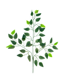 R218206 VARA FOLLAJE FICUS 12PZ 60CM