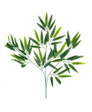 R218207 VARA FOLLAJE BAMBU 6PZ 66CM