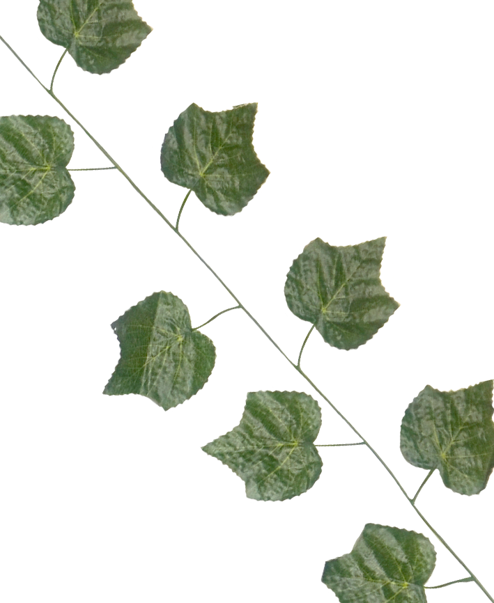 R218304 GUIA HOJA UVA 2.3 M