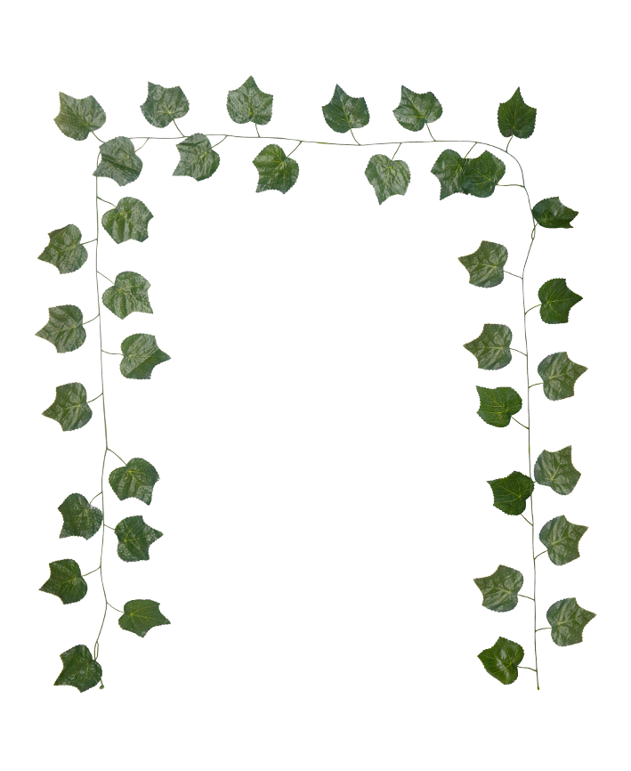 R218304 GUIA HOJA UVA 2.3 M