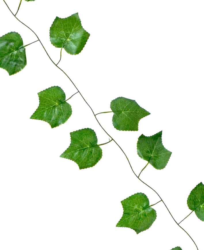 R218311 GUIA HOJA UVA 2.3M 12PZ VERDE