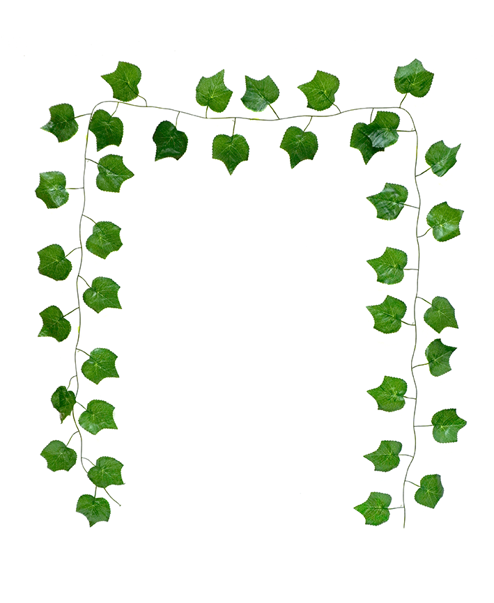 R218311 GUIA HOJA UVA 2.3M 12PZ VERDE