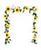 R218321-1 GUIA GIRASOLES 2.1M