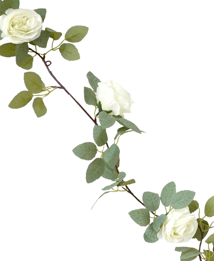 R218322 GUIA ROSAS 2.3M
