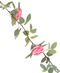 R218322 GUIA ROSAS 2.3M