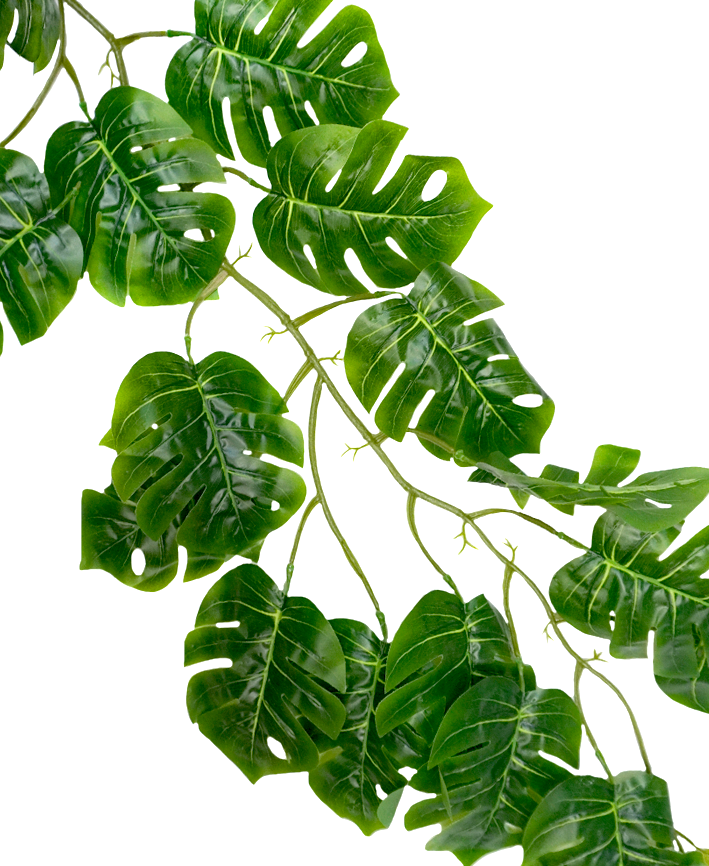R218324 GUIA MONSTERA 1.75M